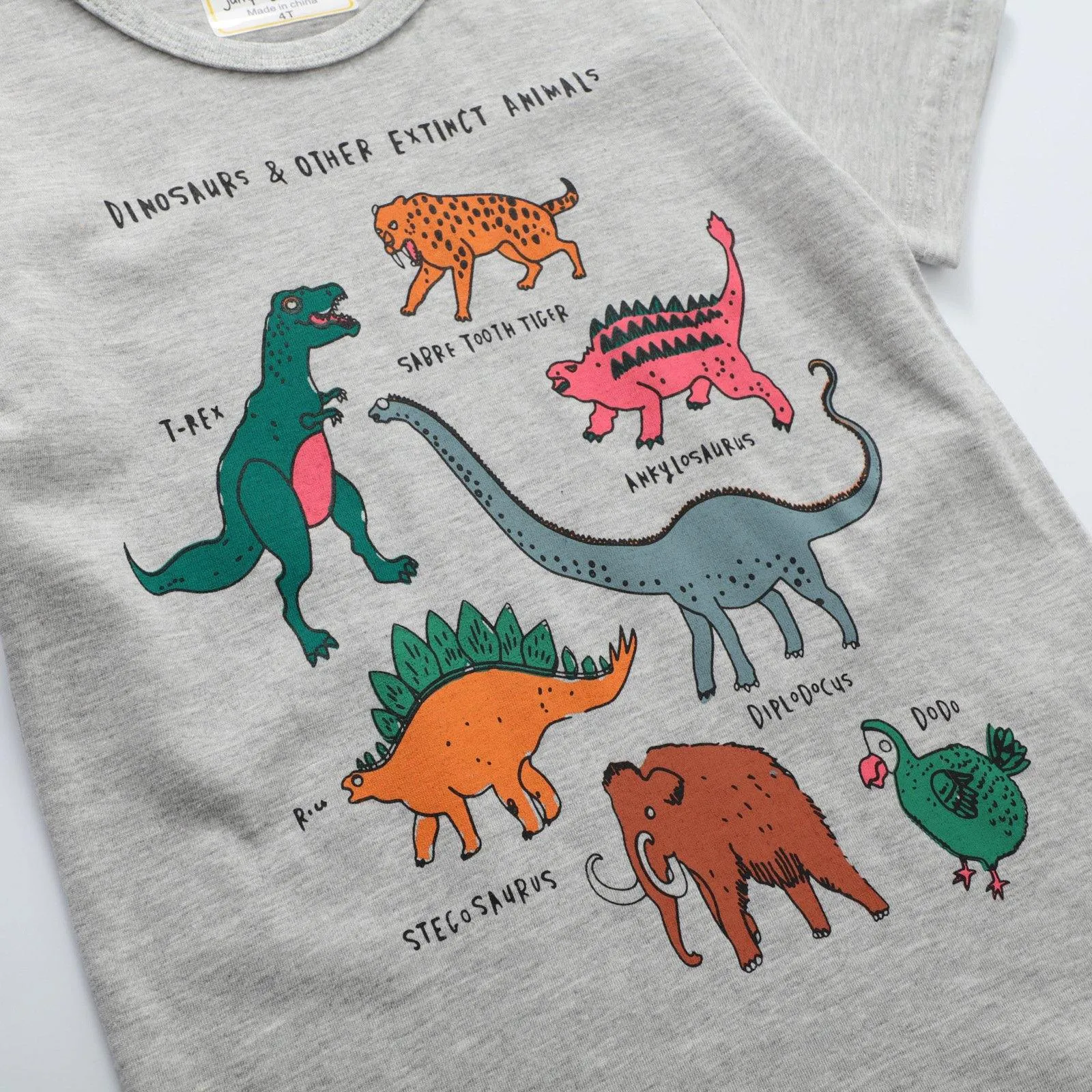 BOY'S SHORT SLEEVES DINOSAUR TYPES GRAPHIC T-SHIRT