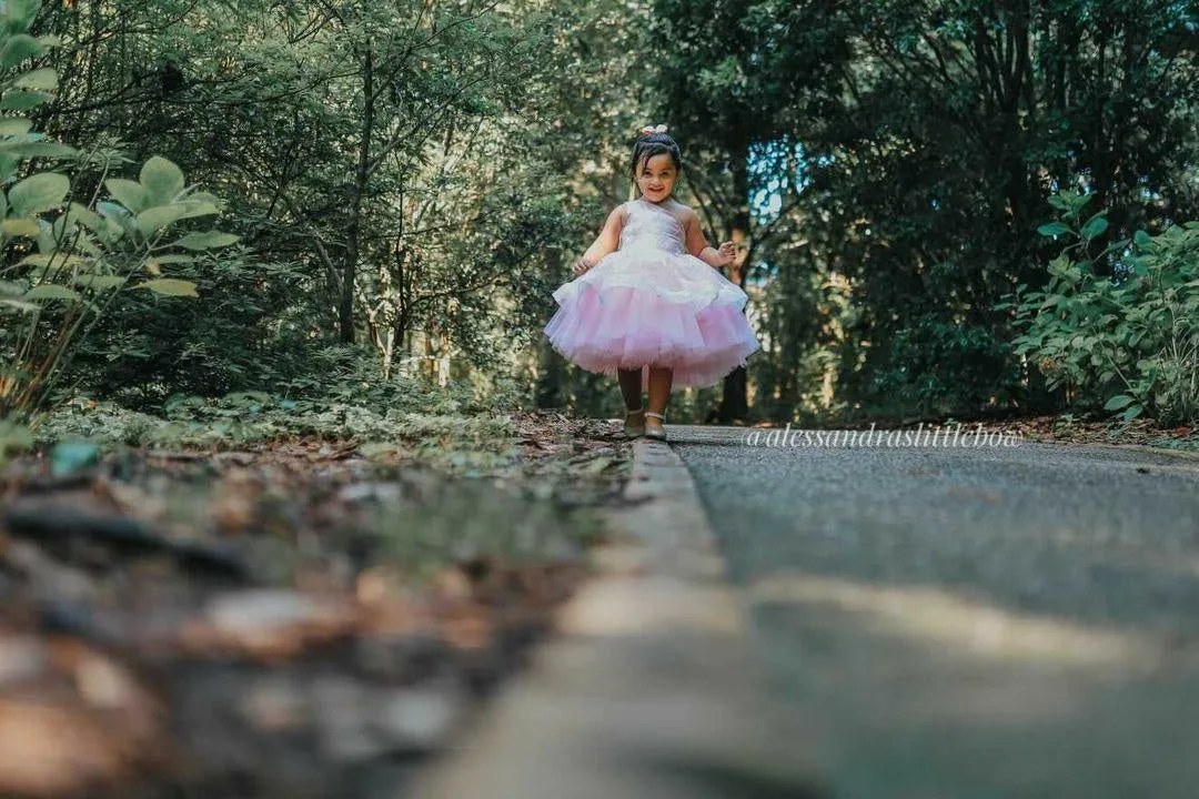 Brielle Pink Butterfly Couture dress