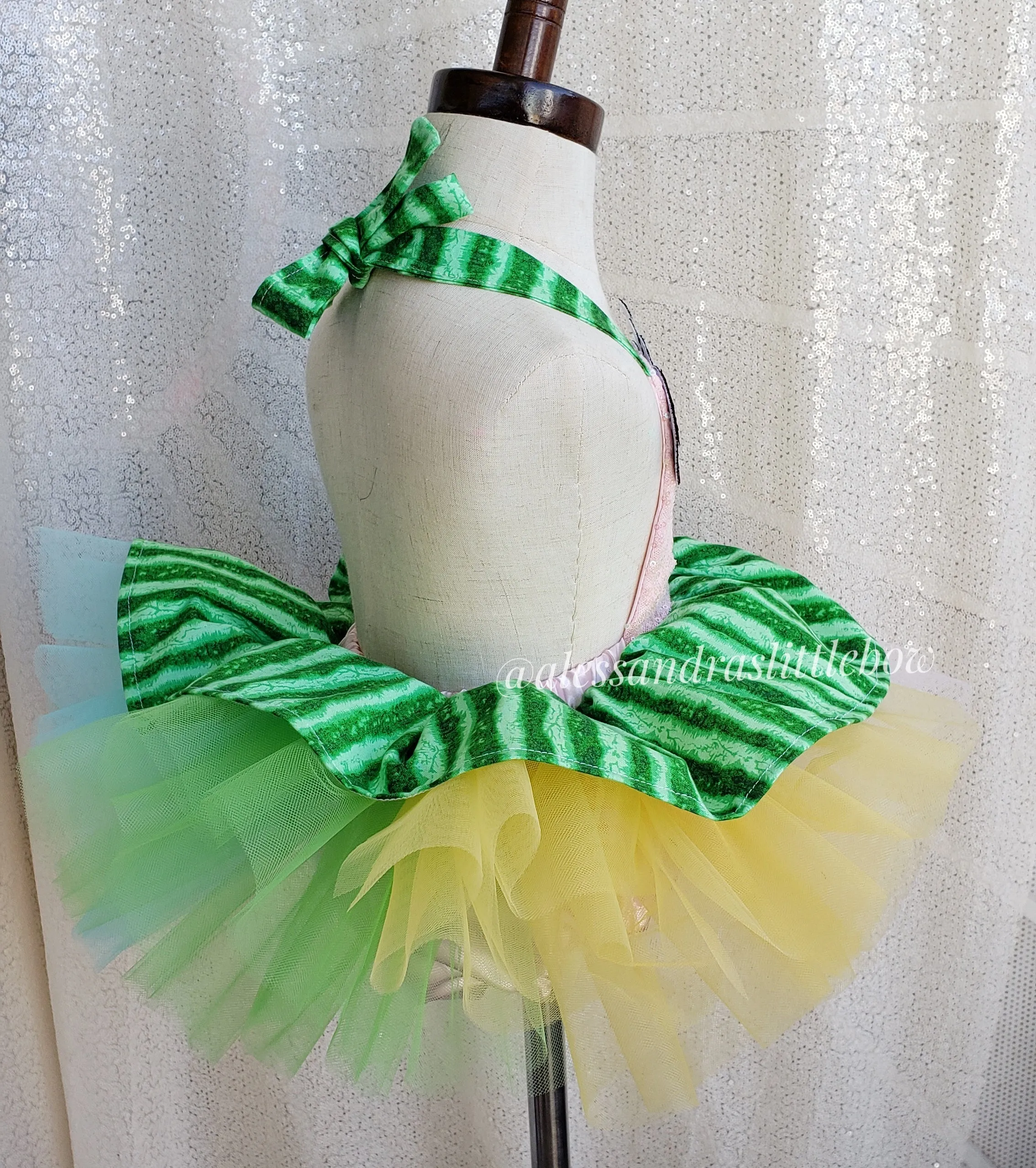 Coco Melon inspired tutu Romper with lady bug