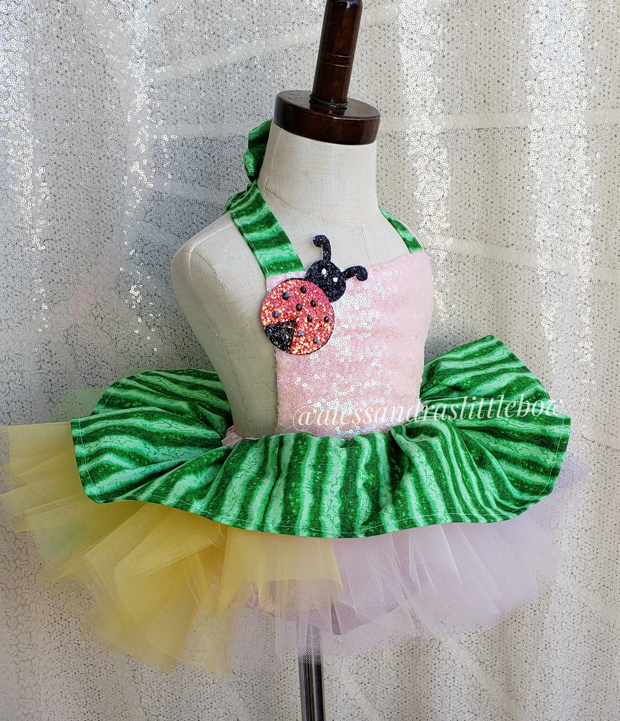 Coco Melon inspired tutu Romper with lady bug