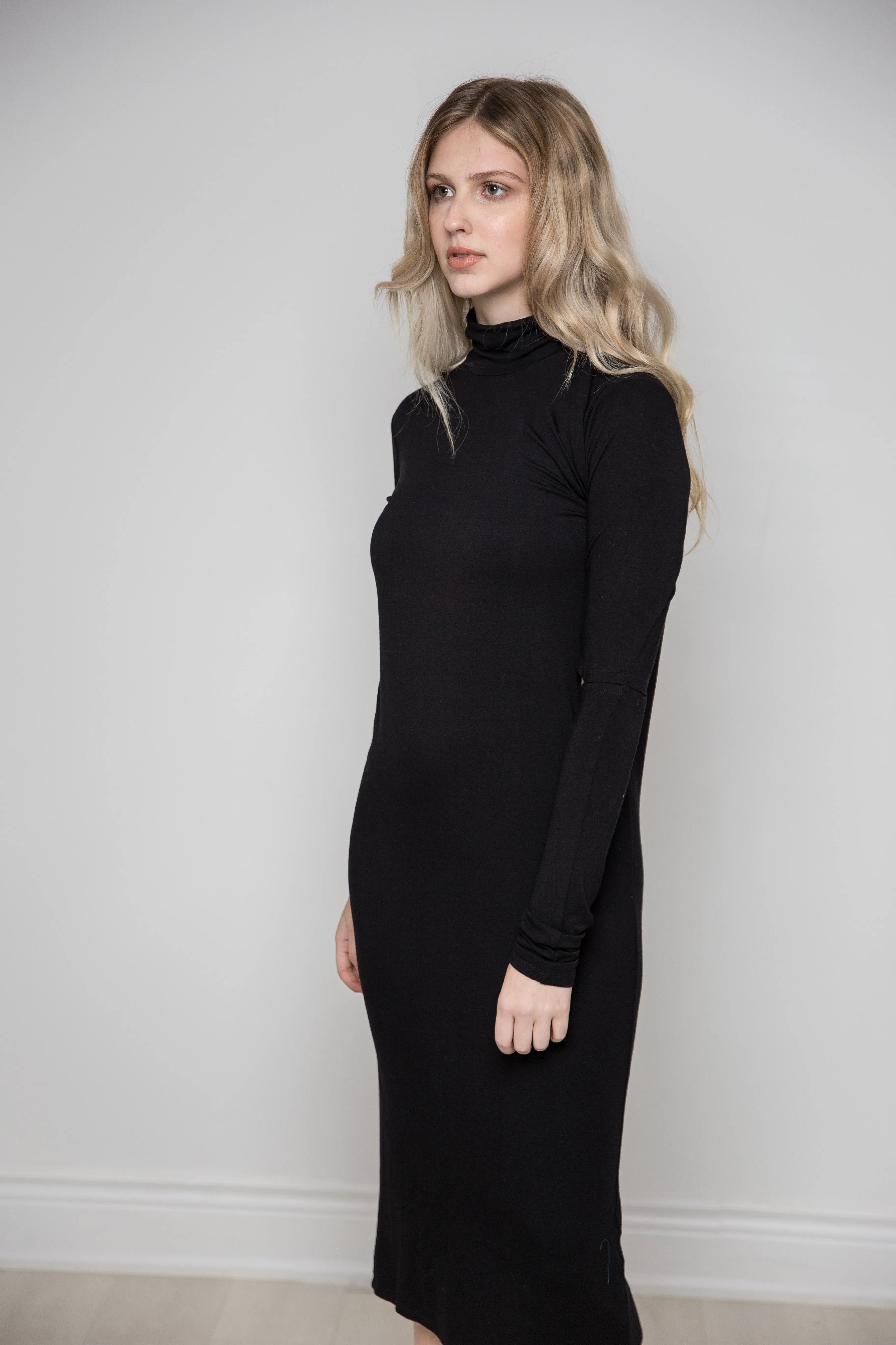 Elbow Cut Turtle Neck Dress