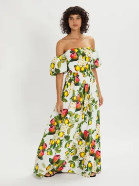 Juliet Strapless Cotton Maxi Dress