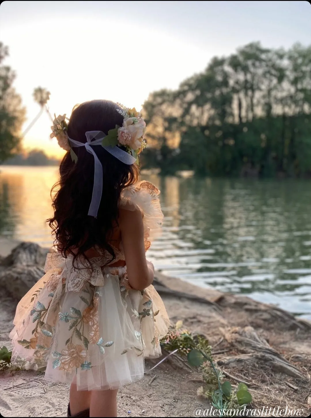 Pink and Neutral Butterfly Floral crown